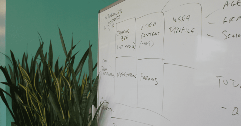 WordPress vs Custom Web App