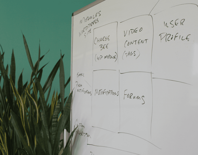 WordPress vs Custom Web App